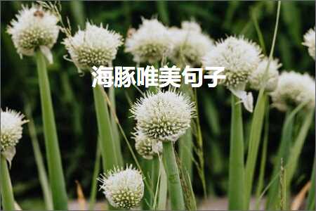 鎰熸仼鐖舵瘝鐨勫敮缇庣绂忓彞瀛愶紙鏂囨520鏉★級